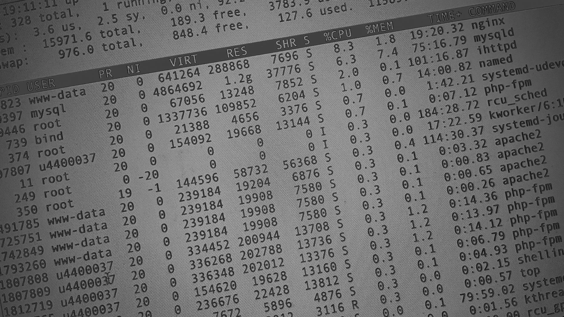 Настройка сервера в Ржеве